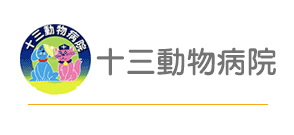 淀川区十三駅の動物病院なら、十三動物病院